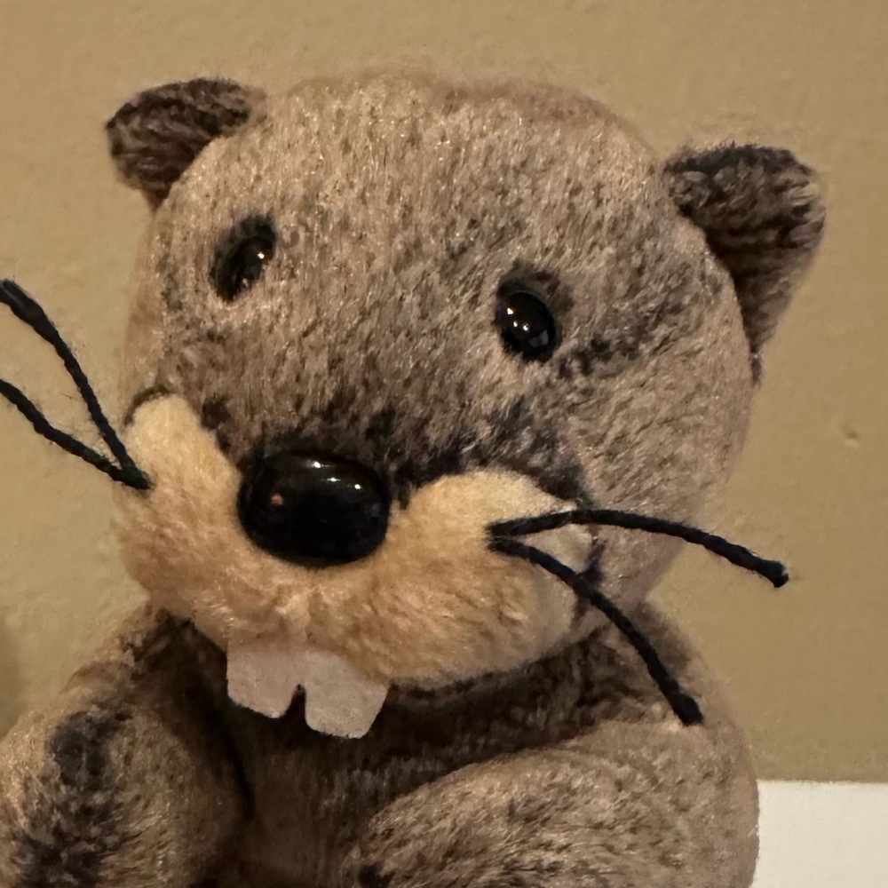 Ty Beanie Lumberjack Beaver Plush Baby 5-5" YES  TAIL😃 No Tag🙁 Great Condition